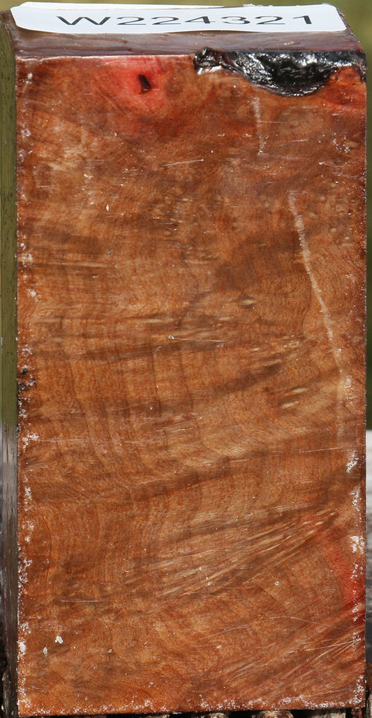Extra Fancy Madrone Burl Turning Blank