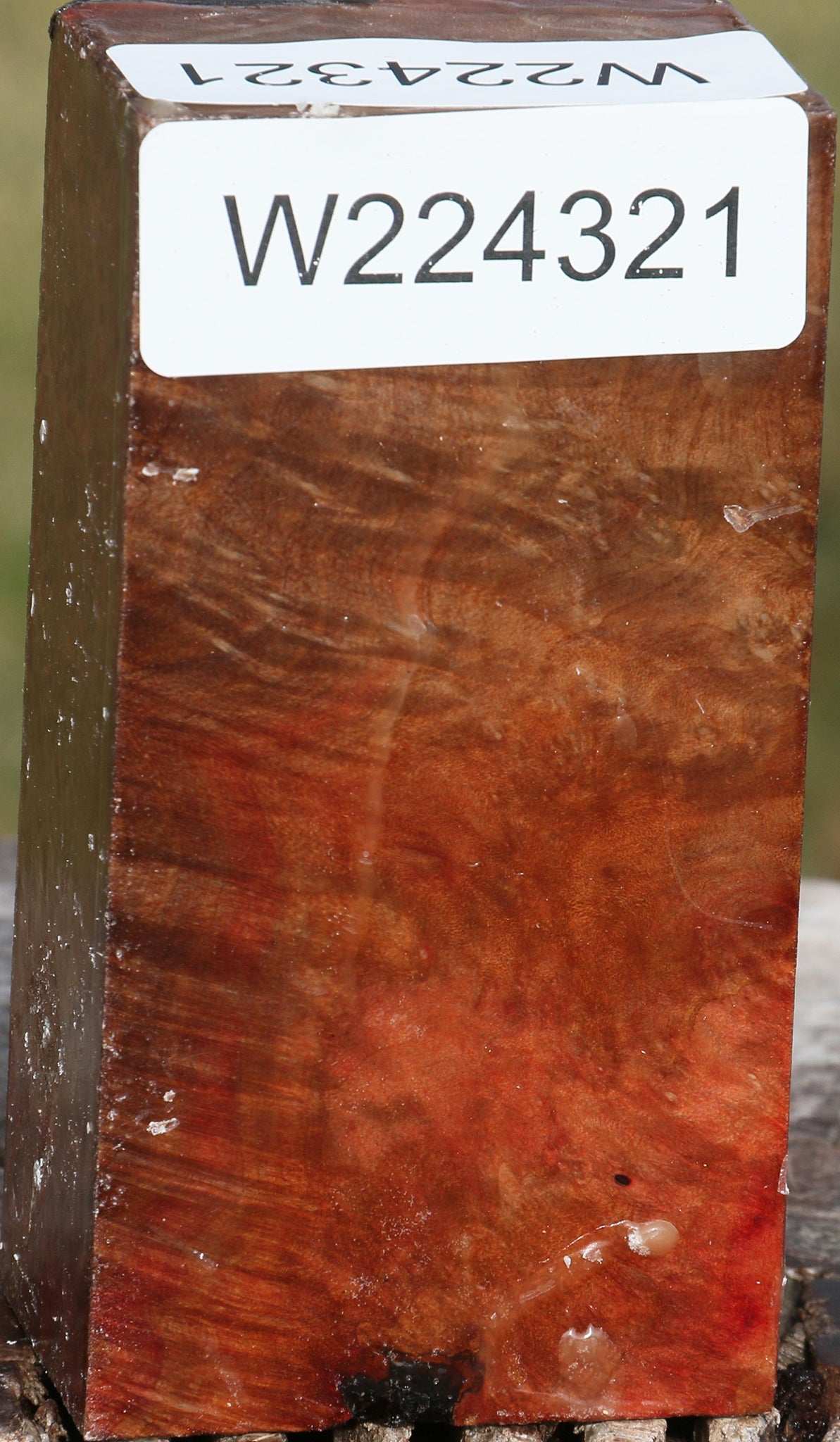 Extra Fancy Madrone Burl Turning Blank