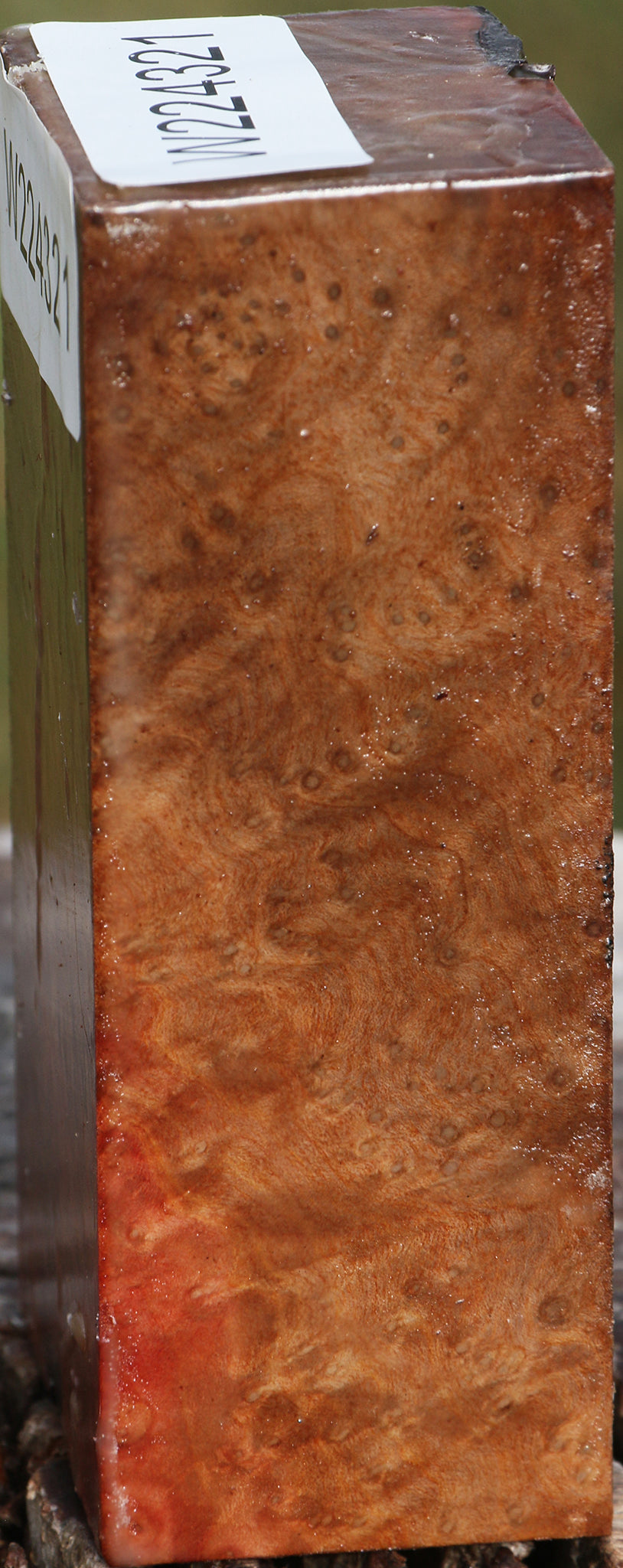 Extra Fancy Madrone Burl Turning Blank