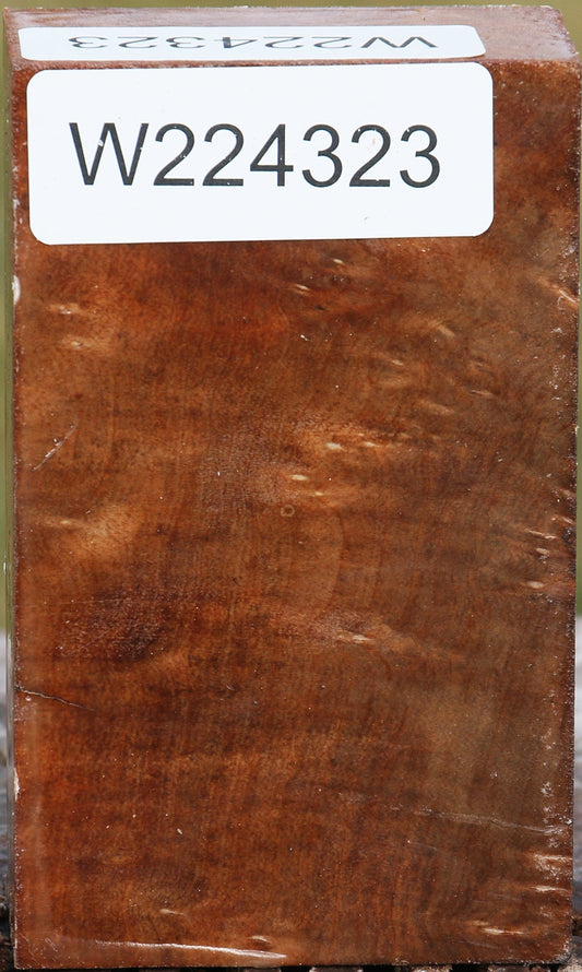 Madrone Burl Turning Blank