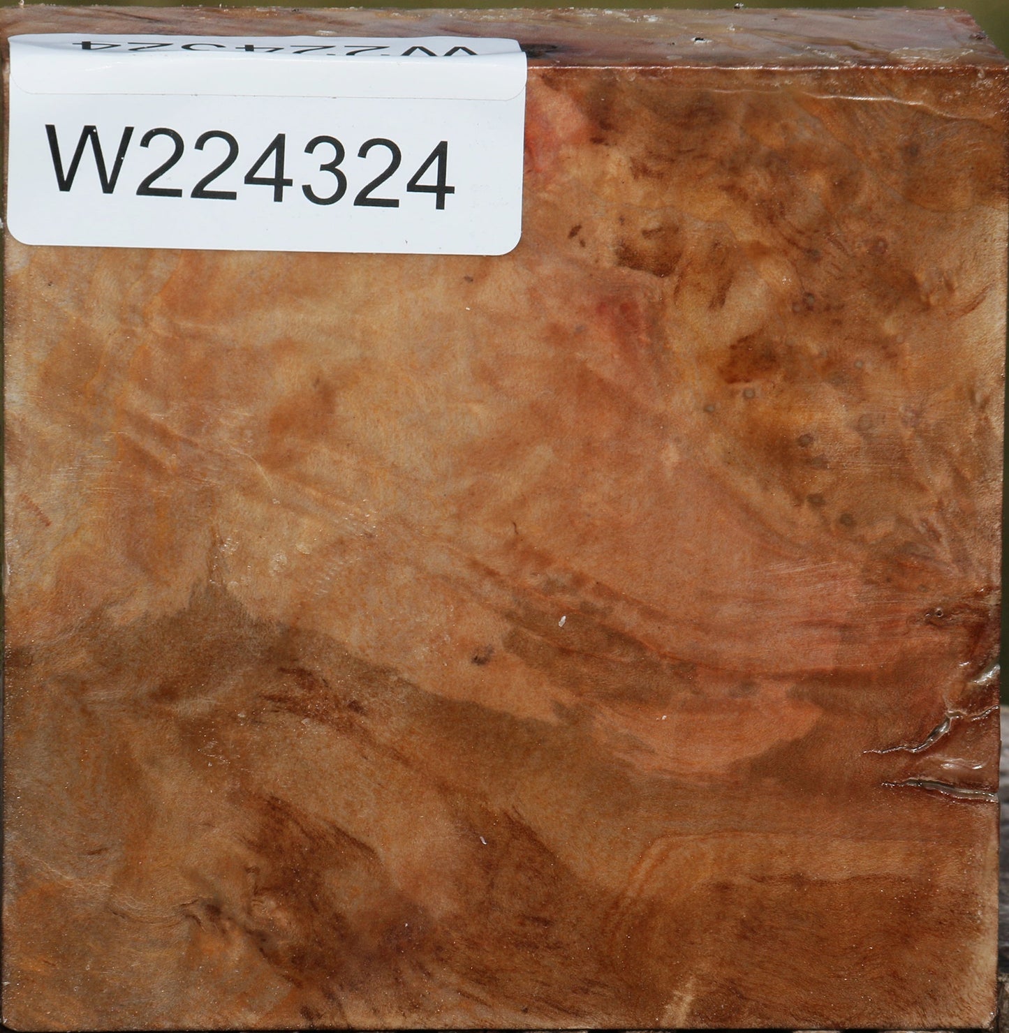 Madrone Burl Bowl Blank