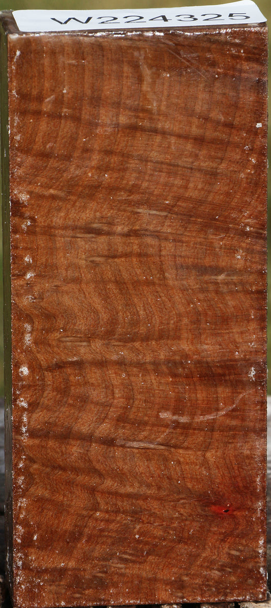 Madrone Burl Lumber