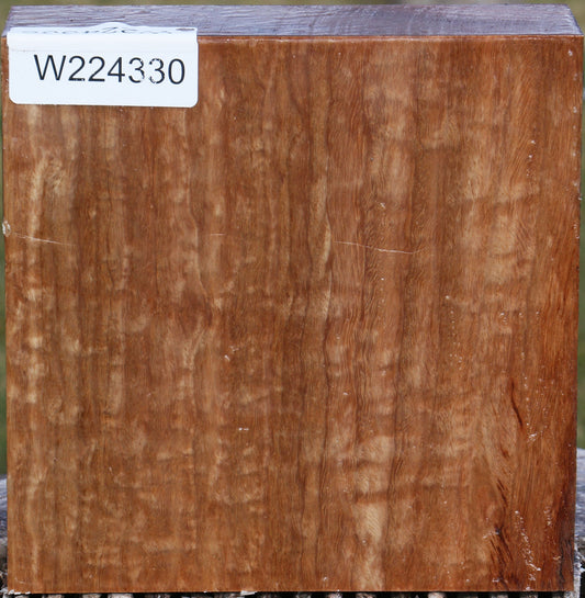 Figured Pomelle Eucalyptus Bowl Blank