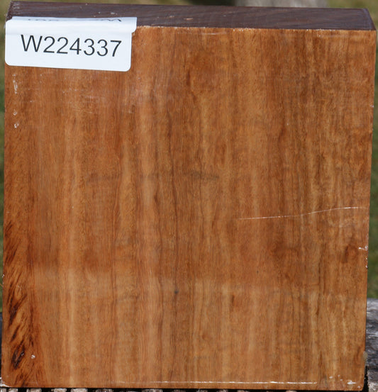 Figured Pomelle Eucalyptus Bowl Blank