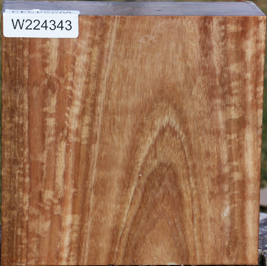 Figured Pomelle Eucalyptus Bowl Blank