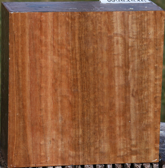 Figured Pomelle Eucalyptus Bowl Blank