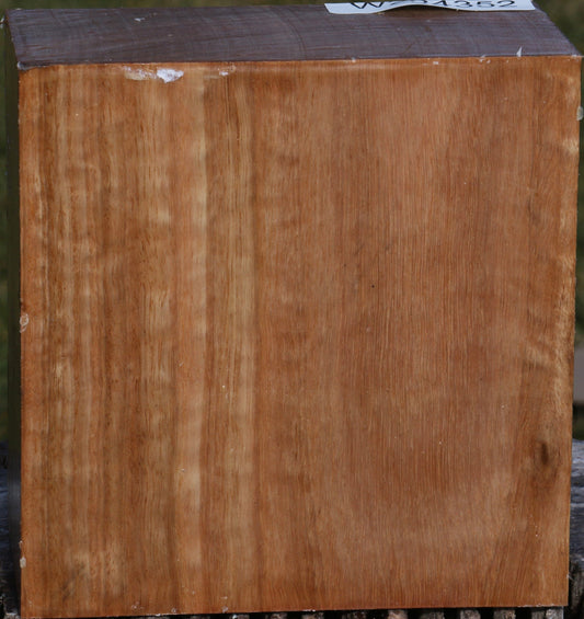 Pomelle Eucalyptus Bowl Blank