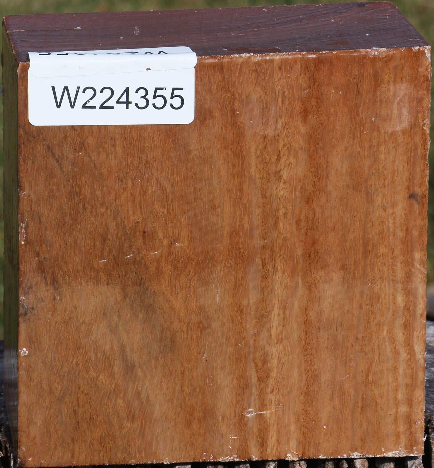 Pomelle Eucalyptus Bowl Blank