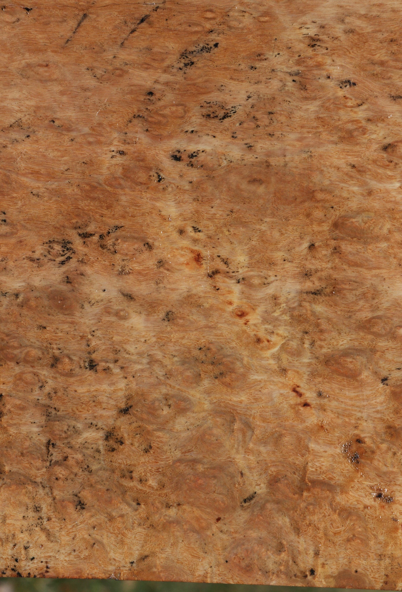 Extra Fancy Pomelle Eucalyptus Bowl Blank