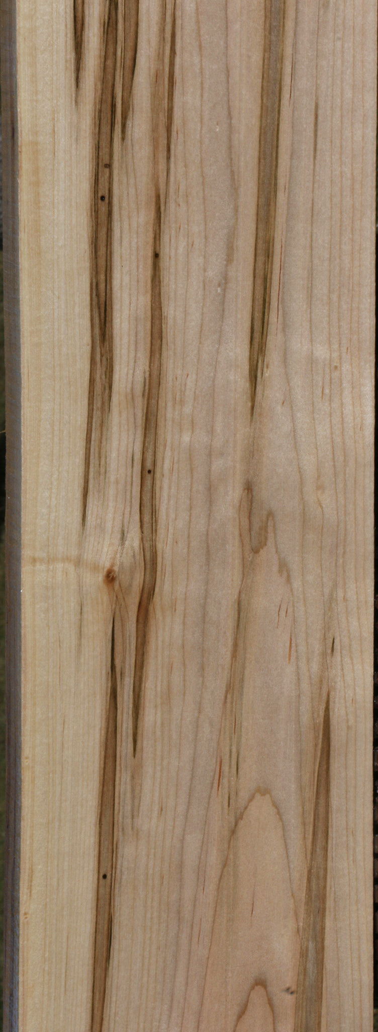 Figured Ambrosia Maple Lumber