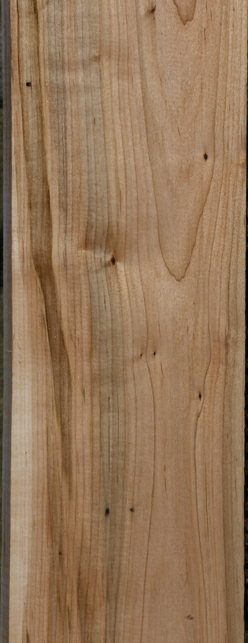 Figured Ambrosia Maple Lumber