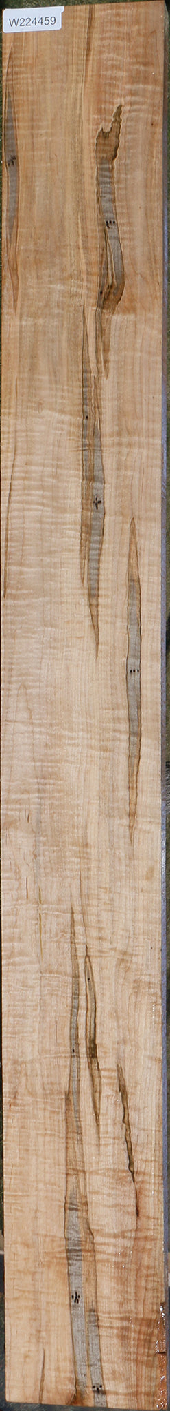 Ambrosia Maple Lumber