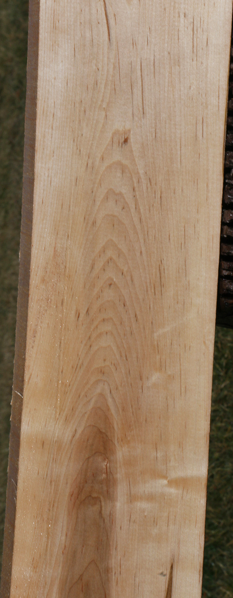 Ambrosia Maple Lumber