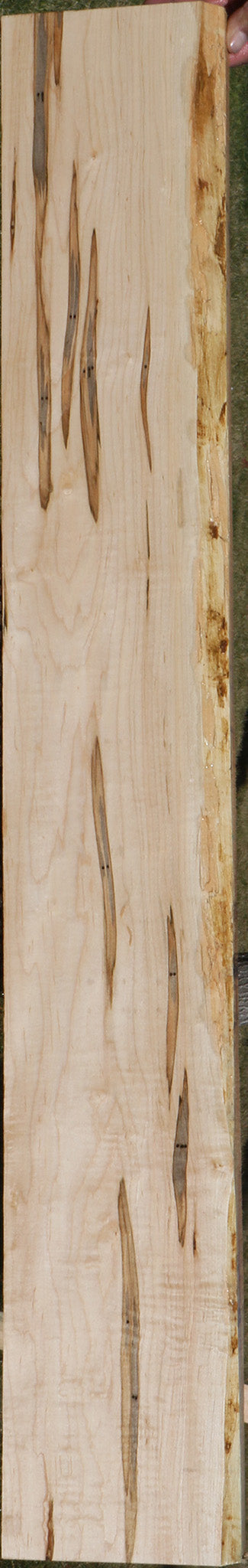 Ambrosia Maple Lumber