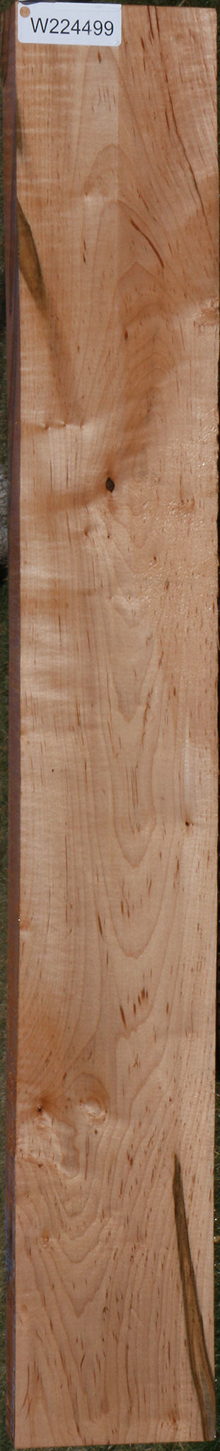 Figured Ambrosia Maple Lumber