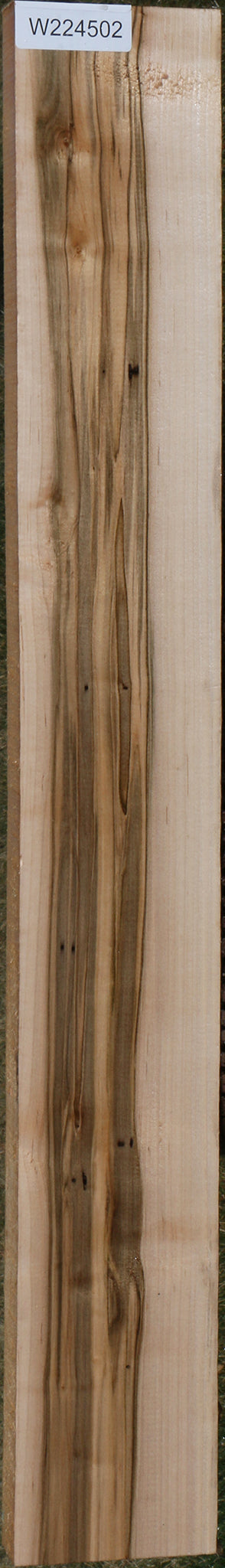 Figured Ambrosia Maple Lumber