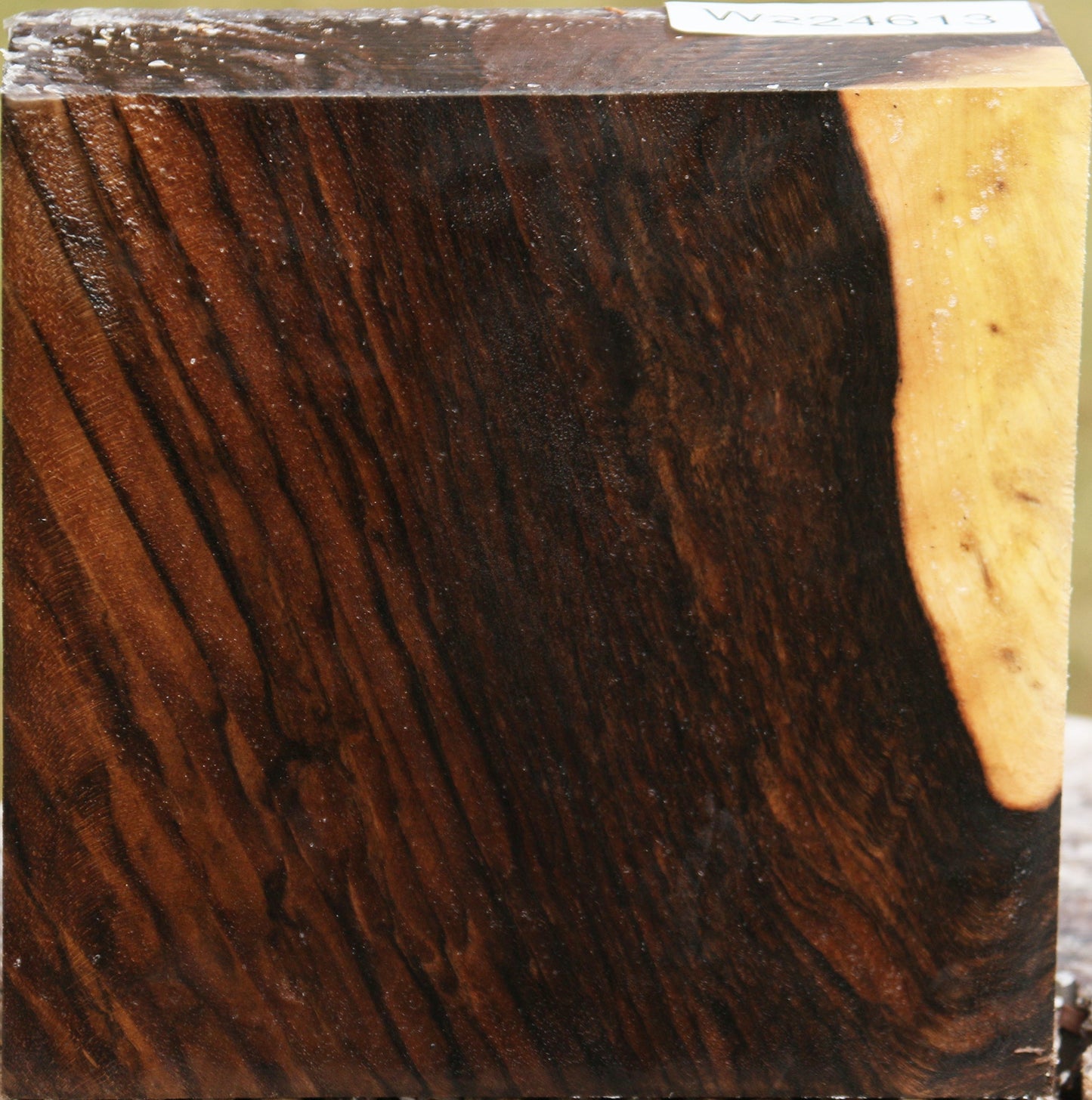 Extra Fancy English Walnut Burl Bowl Blank