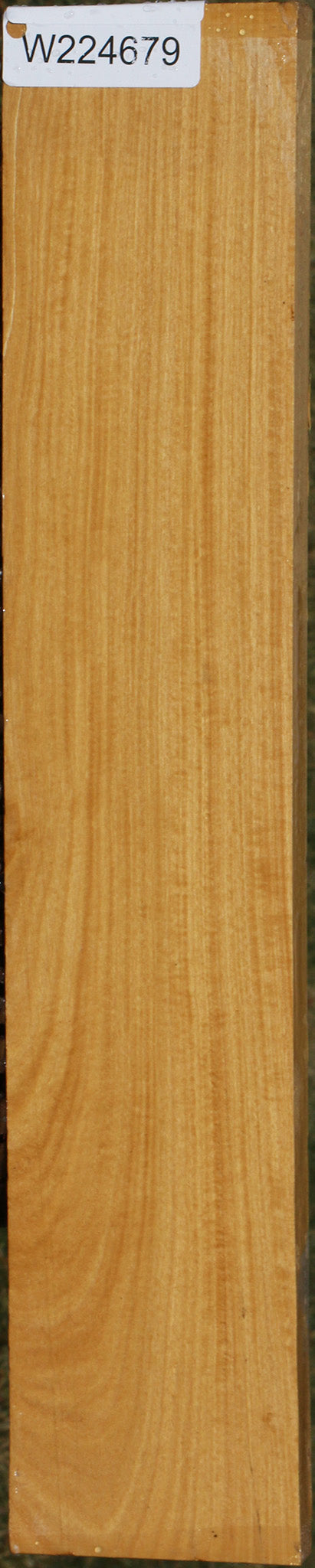Figured Ceylon Satinwood Lumber