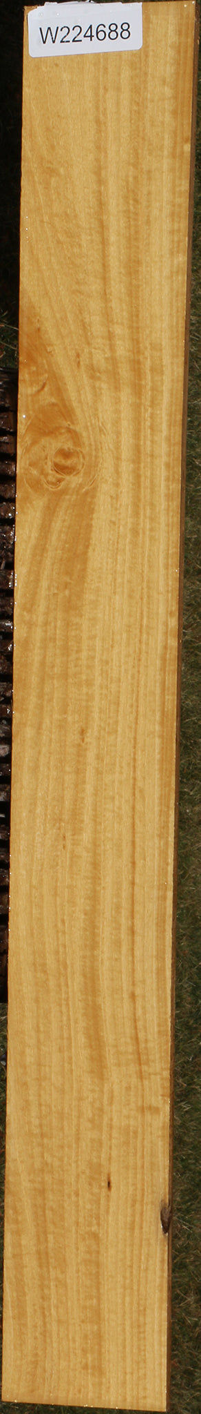 Figured Ceylon Satinwood Micro Lumber