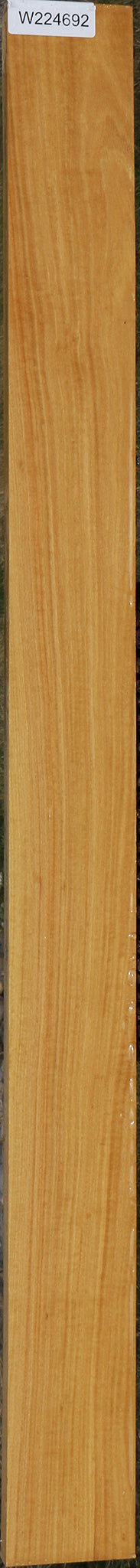Ceylon Satinwood Lumber