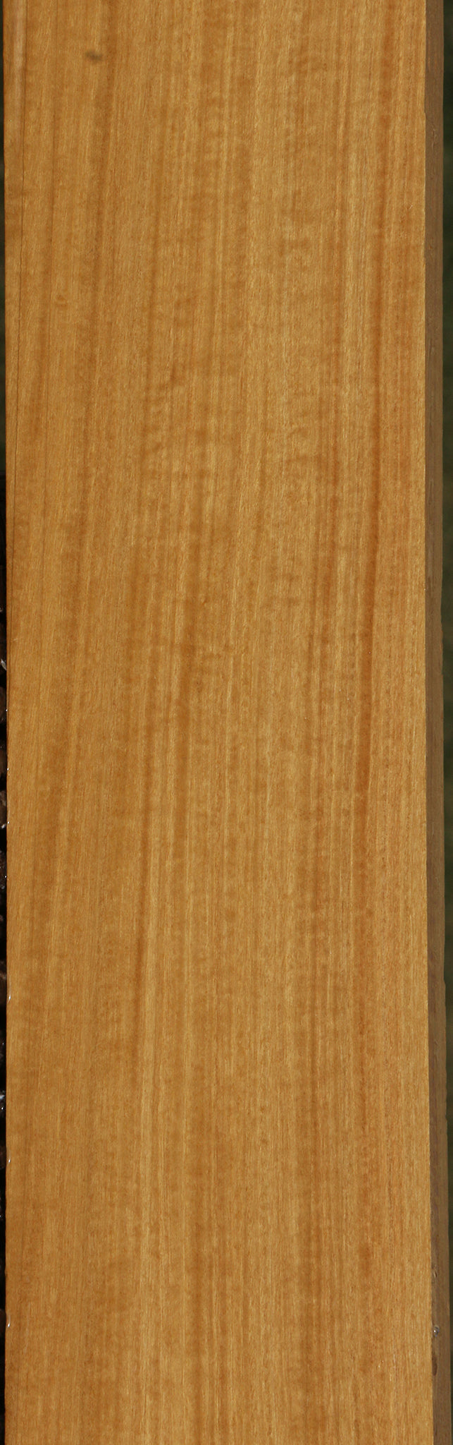 Figured Ceylon Satinwood Lumber