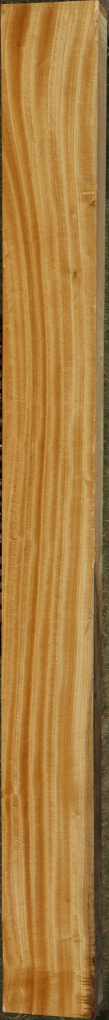 Figured Ceylon Satinwood Lumber