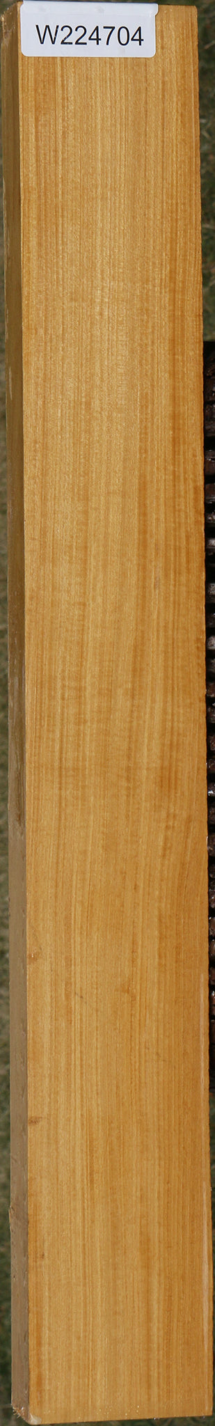 Figured Ceylon Satinwood Lumber
