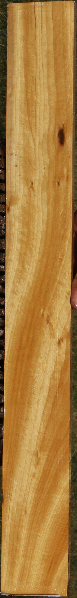 Figured Ceylon Satinwood Micro Lumber