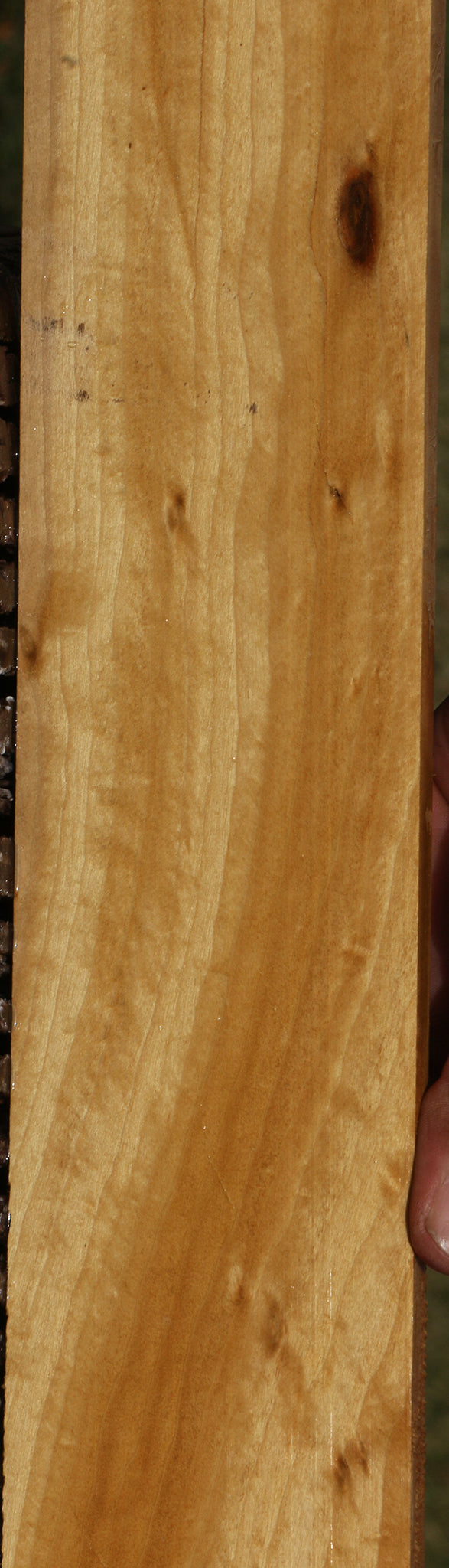 Figured Ceylon Satinwood Micro Lumber