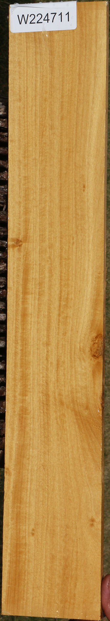 Figured Ceylon Satinwood Micro Lumber