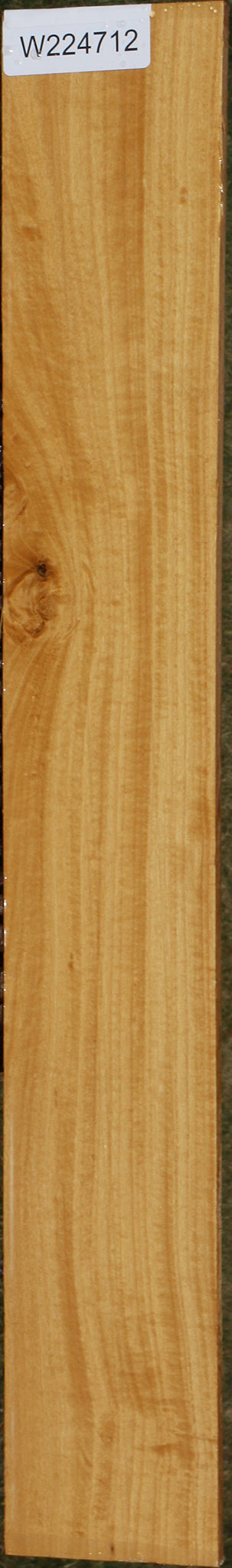 Figured Ceylon Satinwood Micro Lumber
