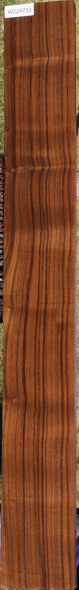 Figured Quartersawn Indian Laurel Lumber