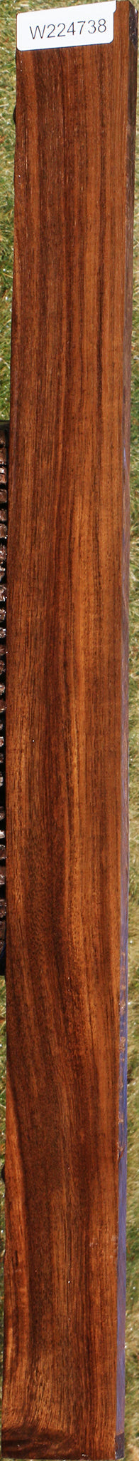 Indian Laurel Lumber