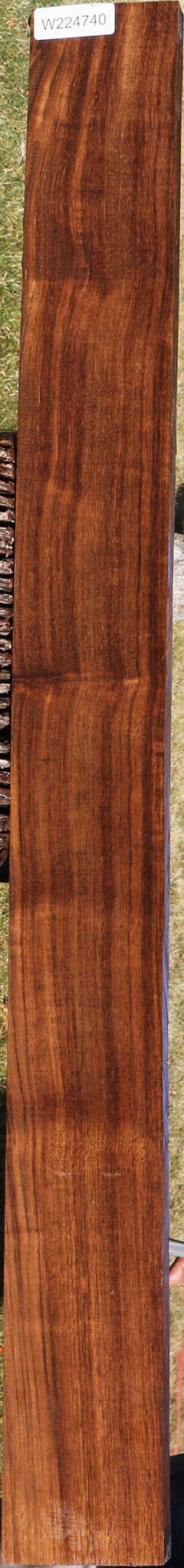 Figured Indian Laurel Lumber