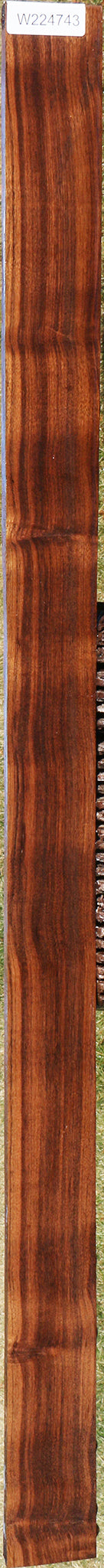 Figured Indian Laurel Lumber