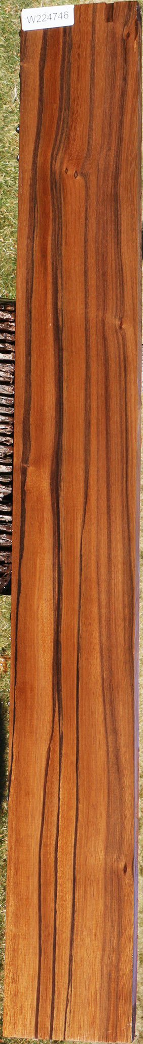 Figured Indian Laurel Lumber