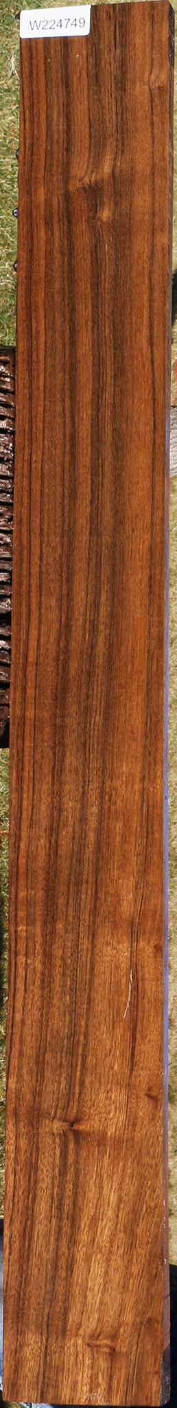 Figured Indian Laurel Lumber