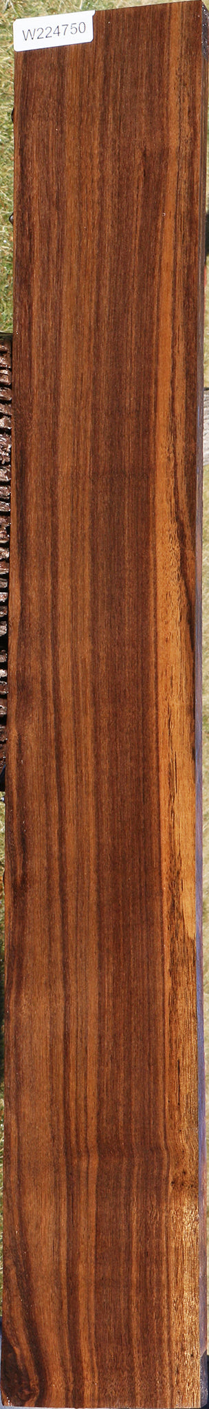 Quartersawn Indian Laurel Lumber