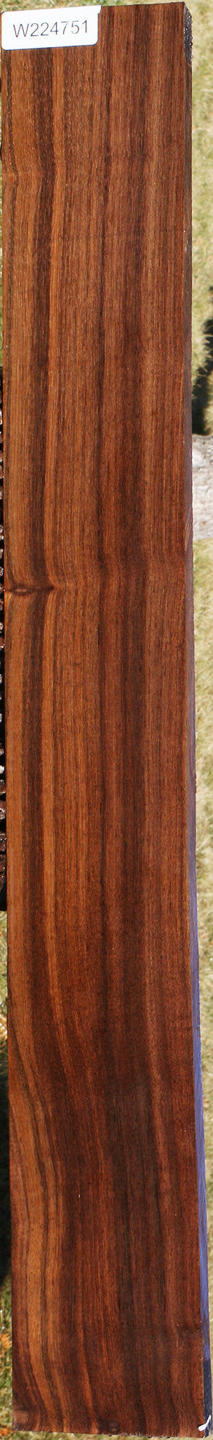 Figured Quartersawn Indian Laurel Lumber