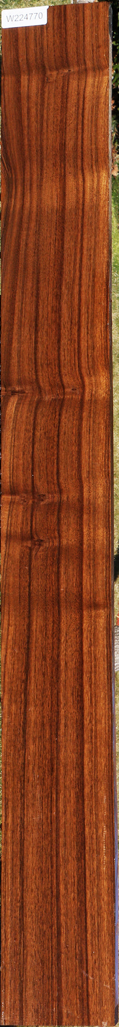 Figured Indian Laurel Lumber