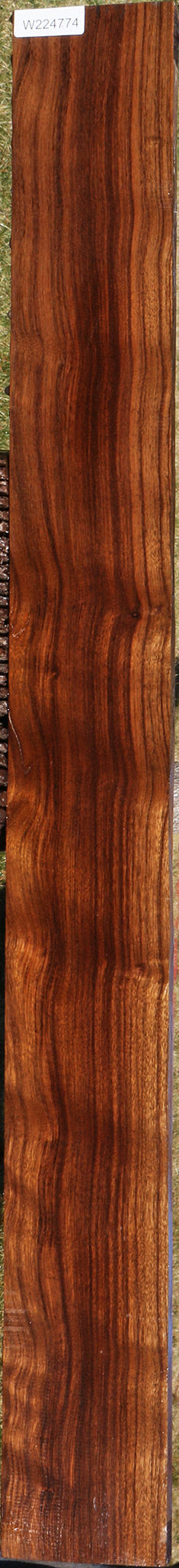 Figured Indian Laurel Lumber