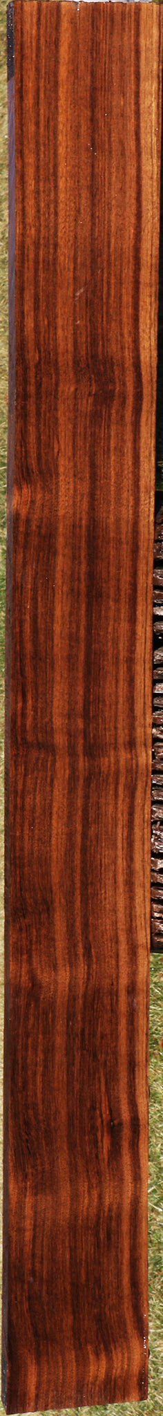 Figured Indian Laurel Lumber
