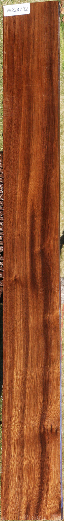 Figured Indian Laurel Lumber