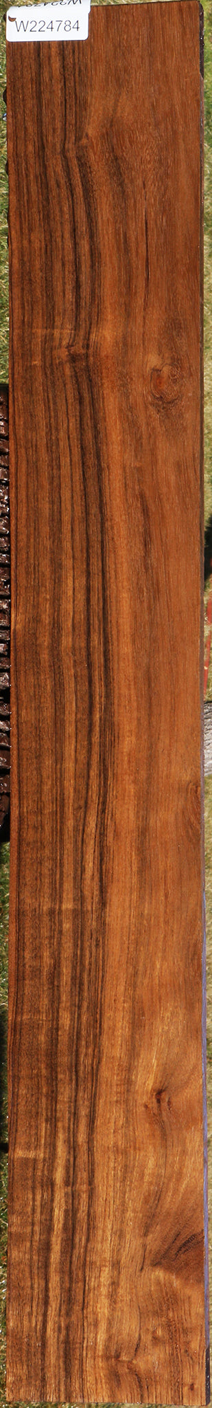 Extra Fancy Indian Laurel Lumber