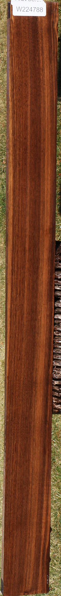 Indian Laurel Lumber