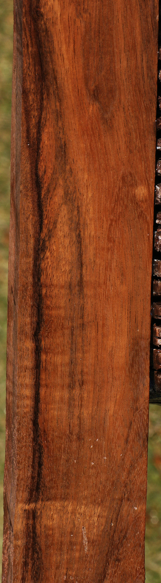Figured Indian Laurel Lumber