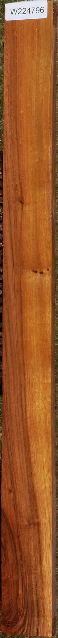 Figured Indian Laurel Lumber