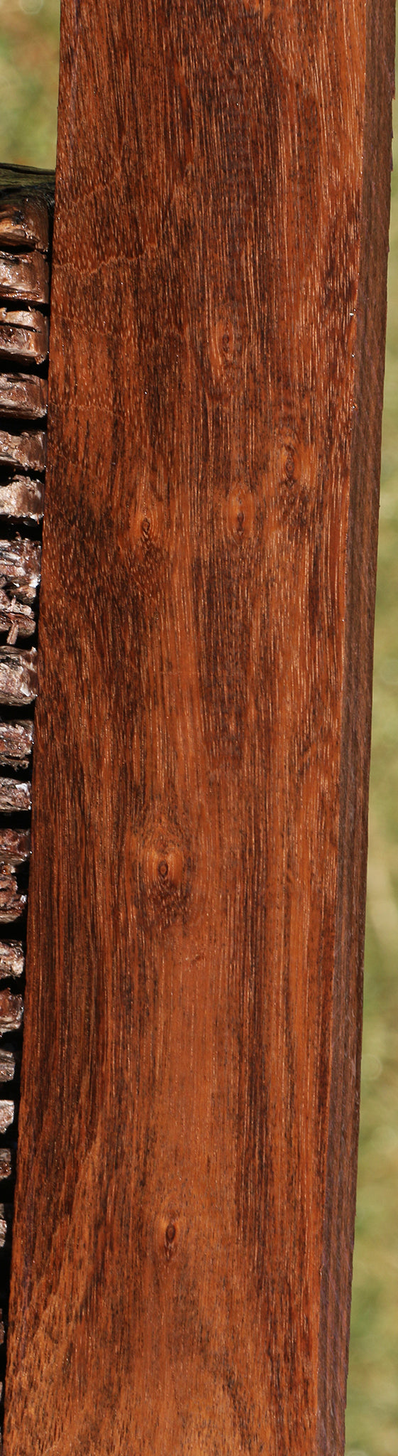 Figured Indian Laurel Lumber