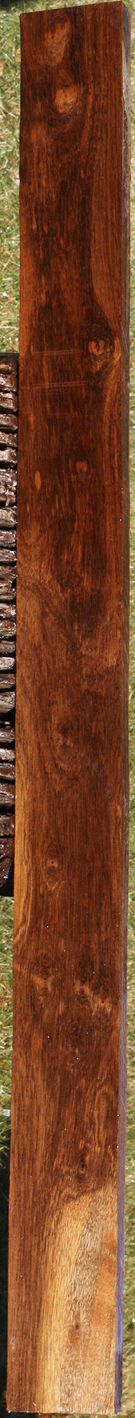 Figured Indian Laurel Lumber