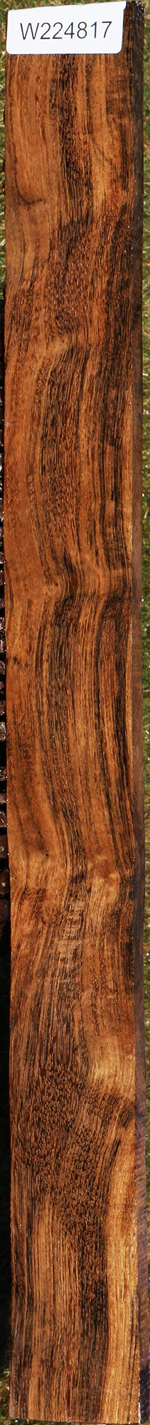 Extra Fancy Indian Laurel Lumber